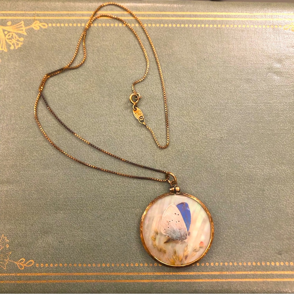 Antique moth butterfly taxidermy necklace.  Real moth